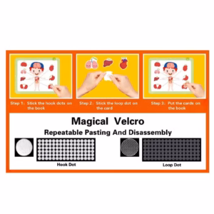 Alternative view of Book for Toddlers – Montessori Busy Book ( Body Themes)