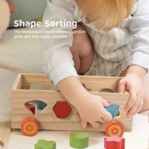Alternative view of Wooden Shape Sorter - Educational Toy